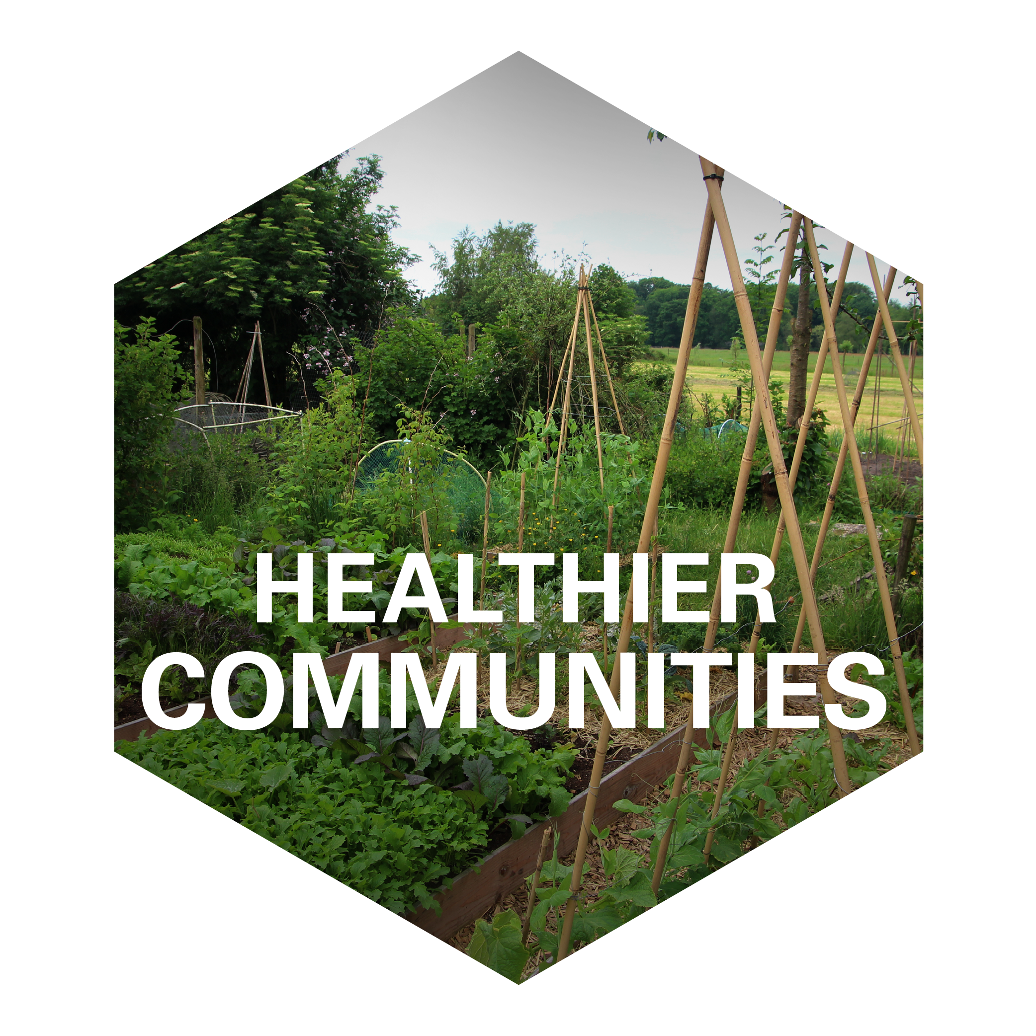 Healthier Communities